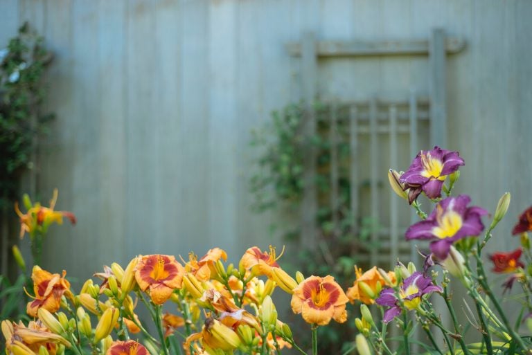 4 Things That Matter When You Want to Grow Your Dreams