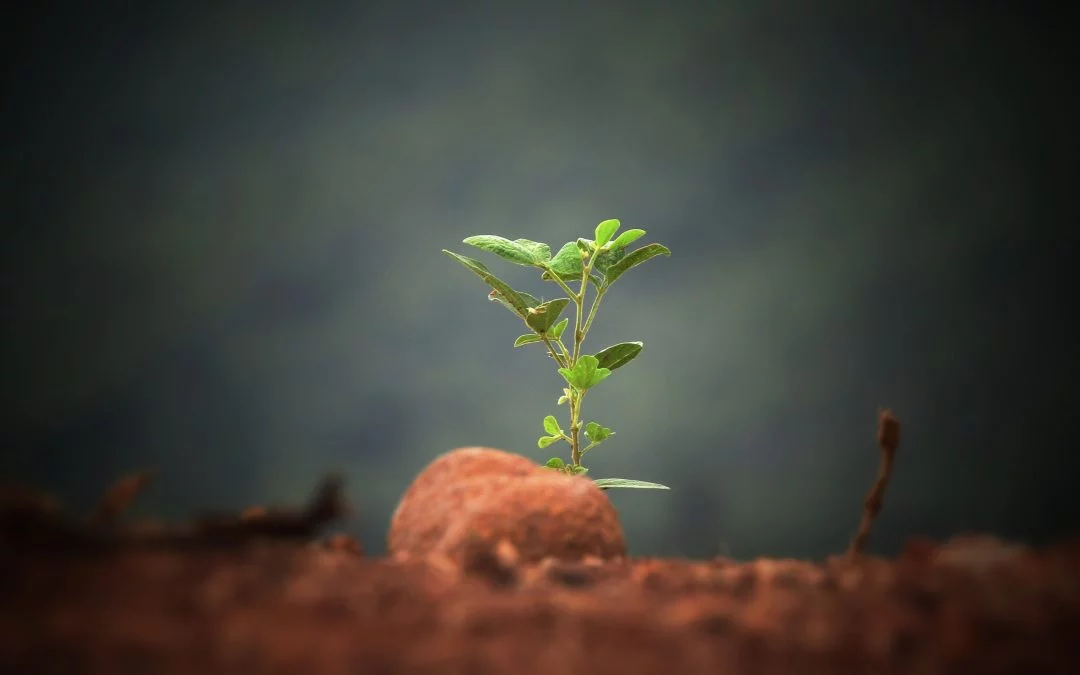 How to Find Power in the Small